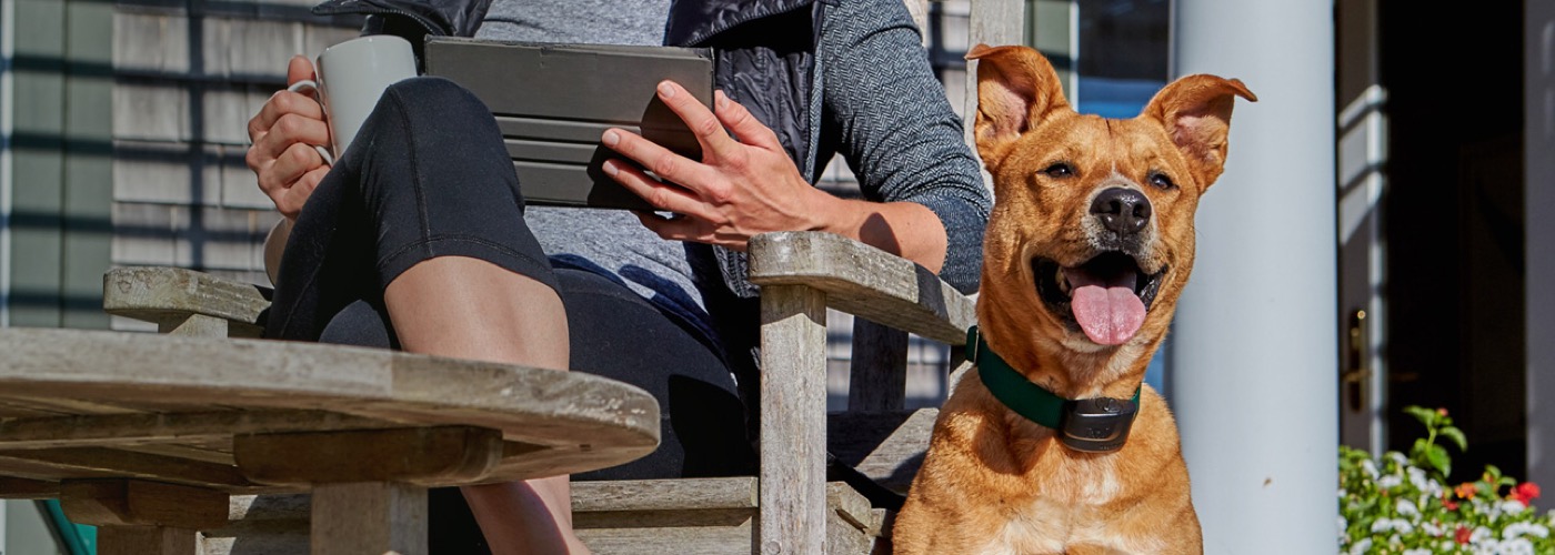 DogWatch of Santa Barbara, Santa Barbara, California | ProFence Slider Image