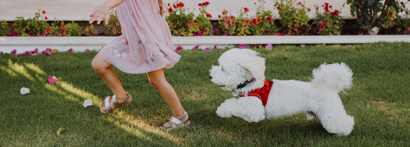 DogWatch of Santa Barbara, Santa Barbara, California | Outdoor Hidden Dog Fences Slider Image